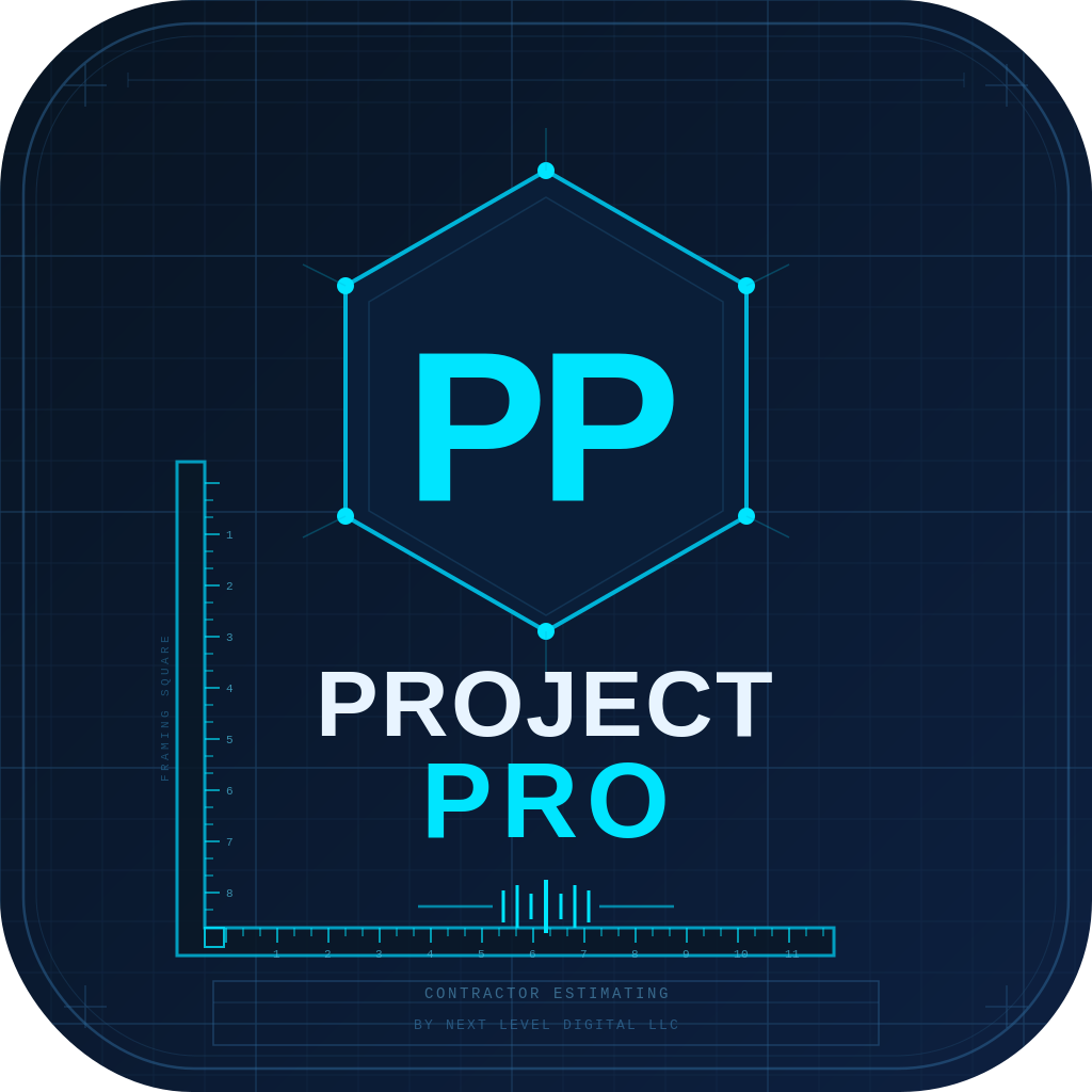 Project Pro